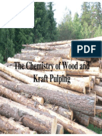 Chemistry of Kraft Pulp