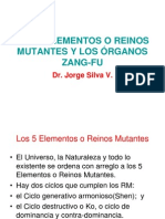 Cinco Reynos Mutantes Y - Zang-Fu