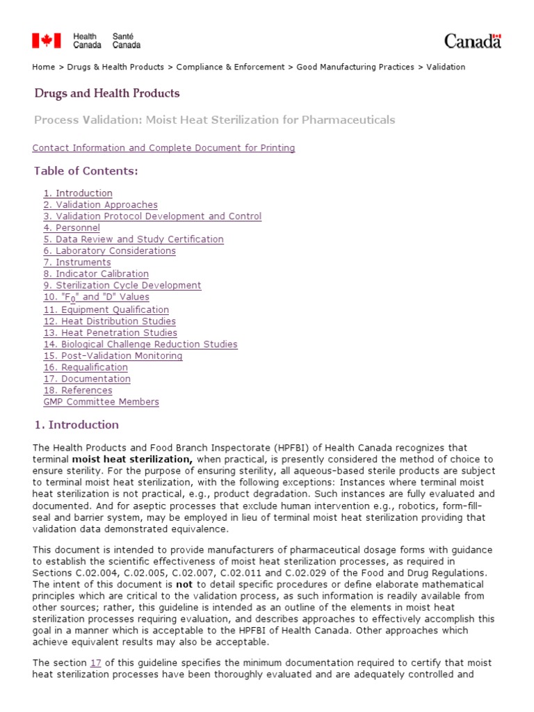 Moist Heat Sterilization Validation Guide | PDF | Verification And ...