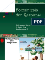 Fotosintesis Dan Respirasi1