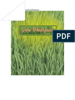 Five Secrets To Growing Great Wheat Grass