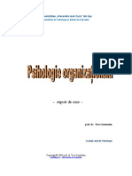 psihologie_organizationala