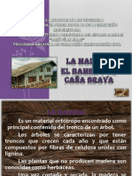 madera,bambuycañabrava grupo 2