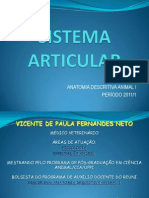 sistemaarticularvicentefernandes-111021082751-phpapp02