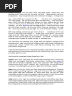 Download GELOMBANG BUNYI by Gelombang bunyi SN21678602 doc pdf