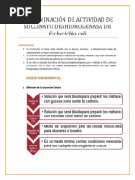 Download PRCTICA 3 DETERMINACIN DE ACTIVIDAD DE SUCCINATO DESHIDROGENASA EN Escherichia coli by skayfer SN216788599 doc pdf