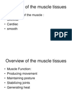 Overview of The Muscle Tissues