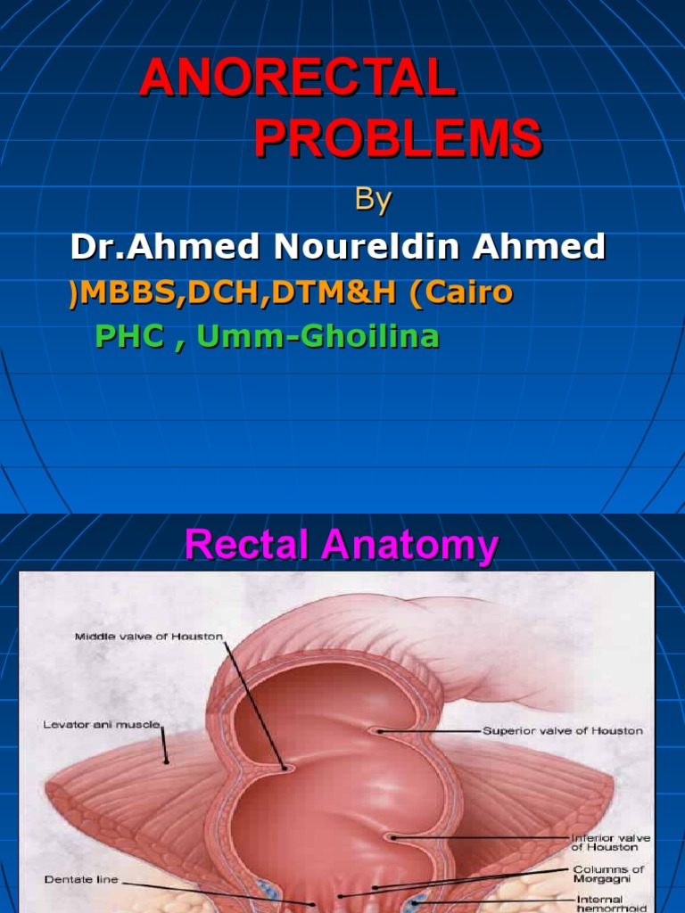 Hemorrhoids and Anal Problems | PDF | Hemorrhoid | Rectum