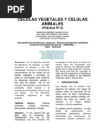 Células Vegetales y Células Animales Practica 2 (1)