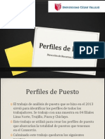 Perfiles de Puesto