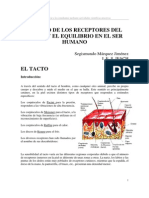 Receptores Del Tacto y El Equilibrio