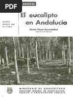 El Eucalipto en Andalucia 1962