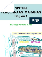 Sistem Pencernaan Mkn 1- Oral