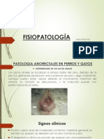 FISIOPATOLOGÍA EXPOCICION 1