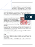 Tacto.pdf-4
