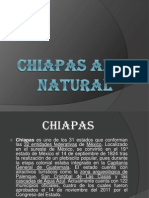 Chiapas Al Natural