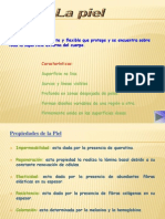 La piel: estructura, funciones y enfermedades más comunes