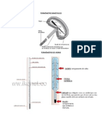 Termómetro Bimetálico