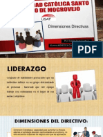 Dimensiones Directivas