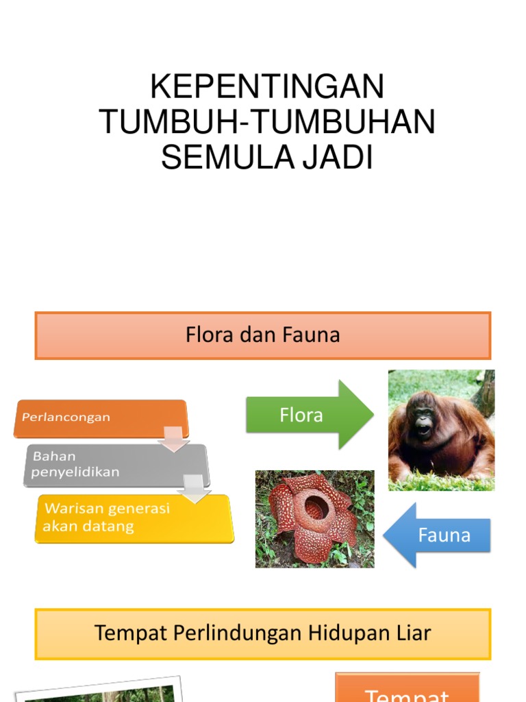 Kepentingan Tumbuh Tumbuhan Semula Jadi Pdf