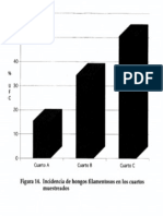 Figura 2