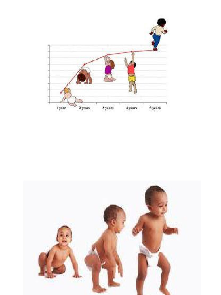 Growth & Development Difference & Principles Developmental Biology