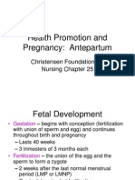 Health Promotion and Pregnancy: Antepartum Development
