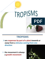 Tropisms 130309084055 Phpapp01