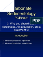 Why You Should Study Carbonates