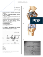 Exerccios Sistema Articular