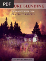 Download Exposure Blending by Gaspar Sandor SN216993832 doc pdf