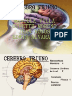 Cerebro Triuno