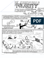 polar bear polarity cartoon