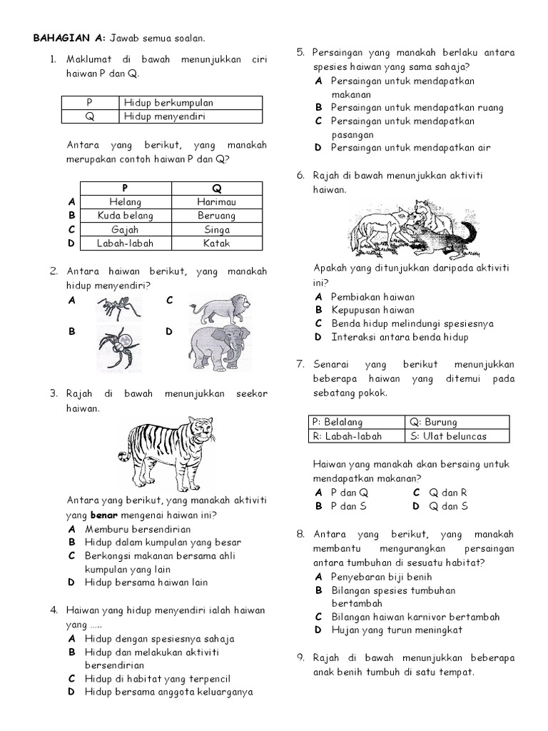 Ujian Sains Tahun 6