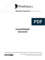 Contabilidade Gerencial - P10