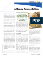 Optimizing Honey Fermentation