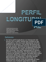 Perfil Longi