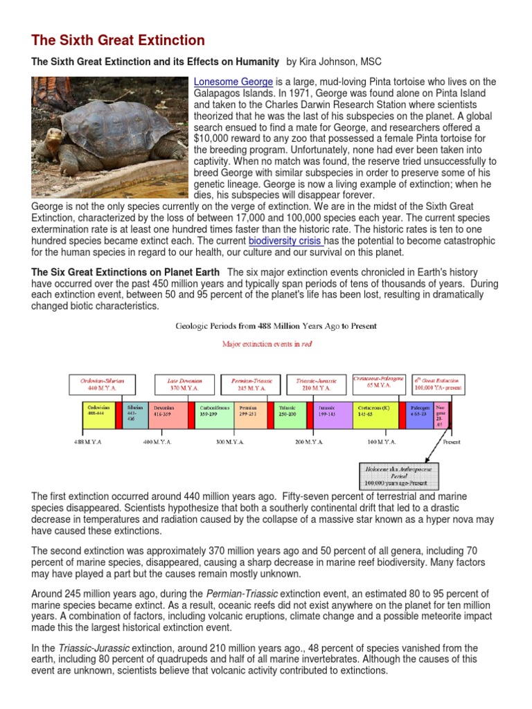 The Sixth Great Extinction Explained | PDF | Extinction | Biodiversity