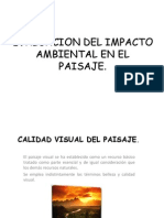 Evaluación impacto ambiental paisaje  caracteres