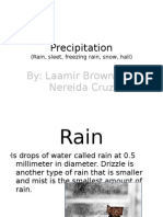 Precipitation: By: Laamir Brown and Nereida Cruz