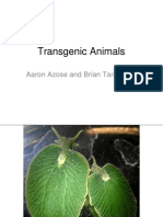 Honors 396 Spring - Transgenic Animals