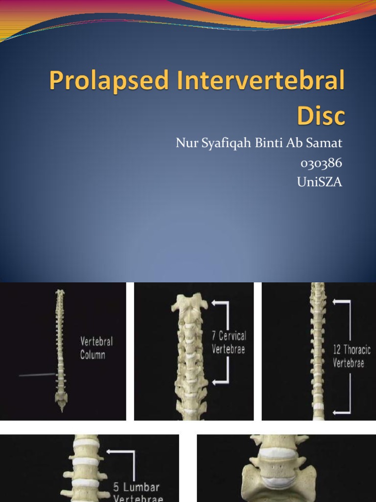 Intervertebral Disc Disorders Overview | PDF