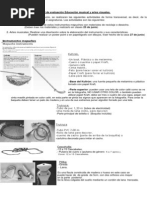 Download Actividad Artes Visuales y Musica by Gracielavc SN217174447 doc pdf