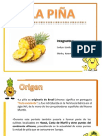Agro - Piña