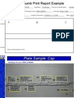 Plate Thumb Print Report Example