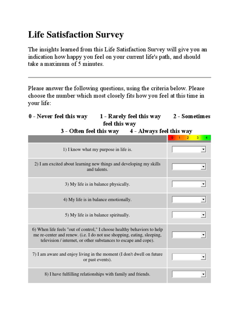 Life Satisfaction Survey