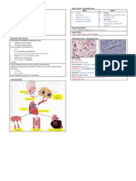 Rheumatic Heart Disease