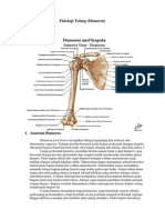 Anatomi & Fisiologi Tulang Humerus (Cakaran)