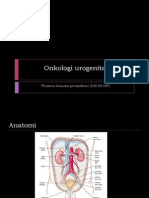 Onkologi Urogenital (Fhiserra Kusuma Primadhani)