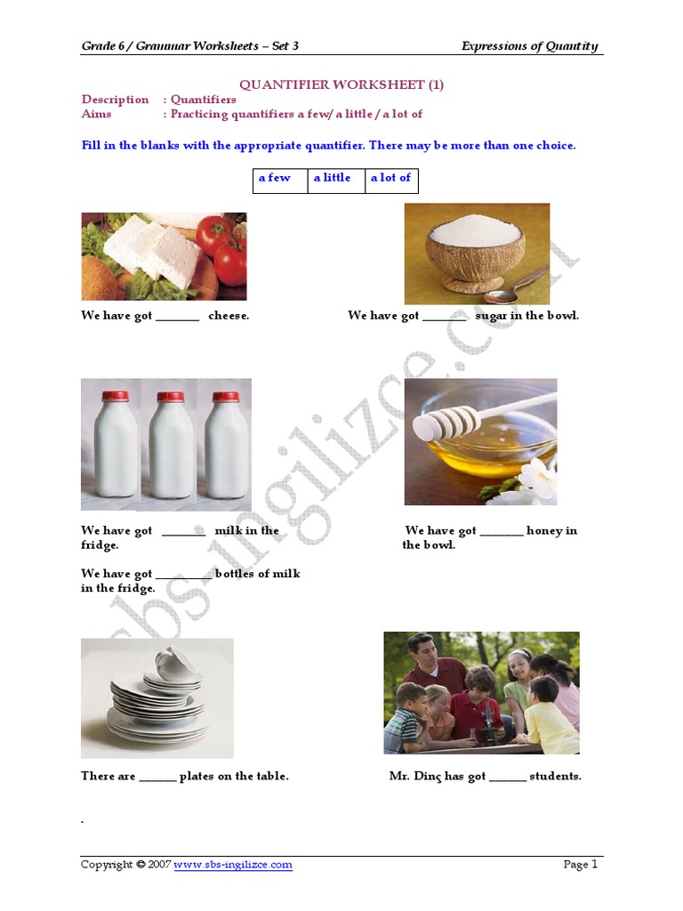 quintifiers grammarworksheets pdf